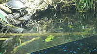 2014-03-27_FILE0124.JPG