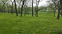 20160508_121553_001.jpg