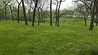 20160508_121553_007.jpg